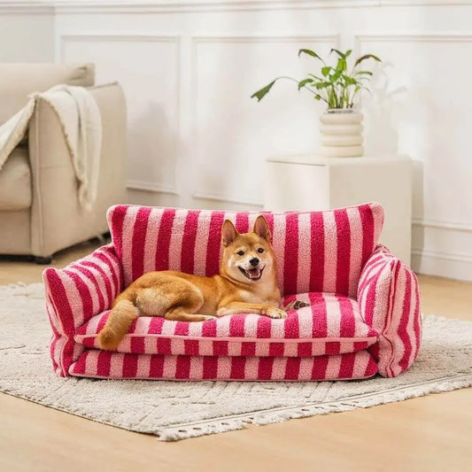 Canapé chien design