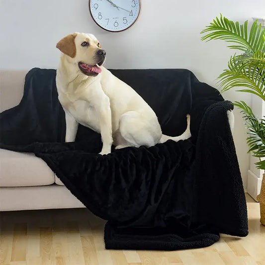 Couverture canapé chien