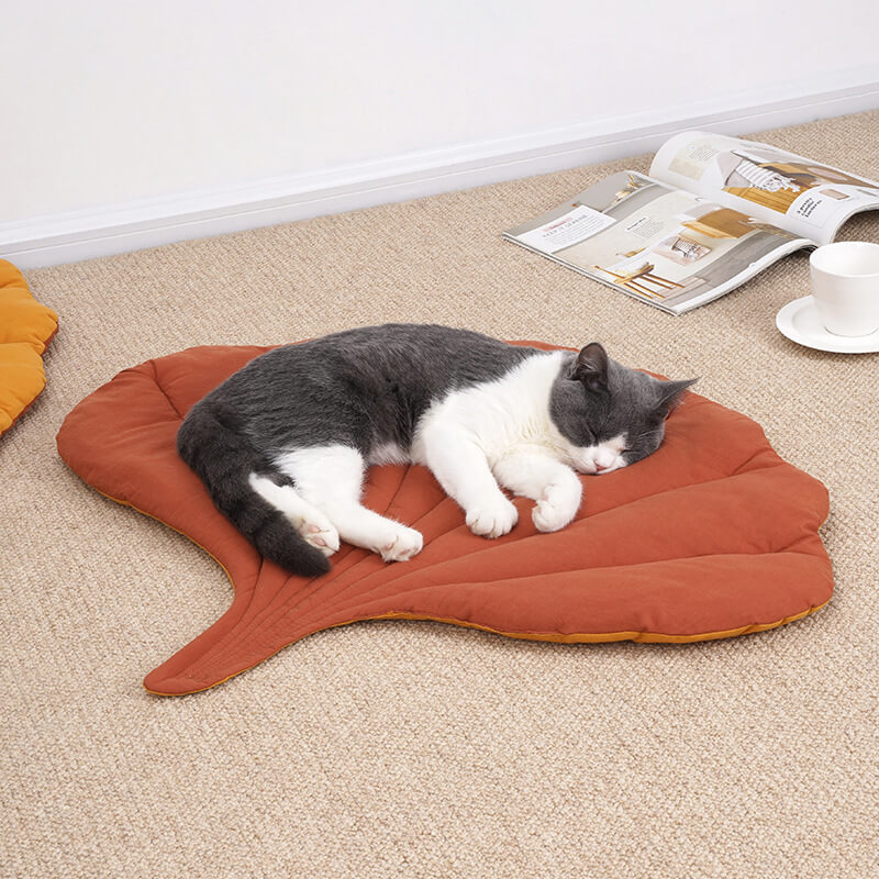 Coussin canapé chat